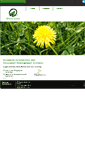 Mobile Screenshot of alfimacro.com